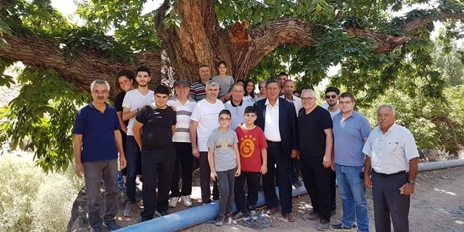 ANIT AGAÇ TEHLİKE ALTINDA