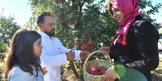 SARIÇAM’DA 2’NCİ NAR FESTİVALİ