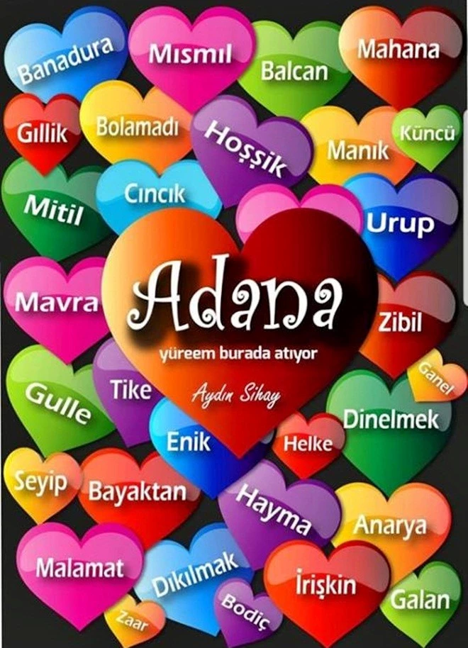 ADANA’DA  ‘PORTAKALLI LEZZETLER YARIŞMASI’