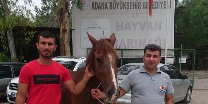 HAYVAN VE DOĞA DOSTU BELEDİYE