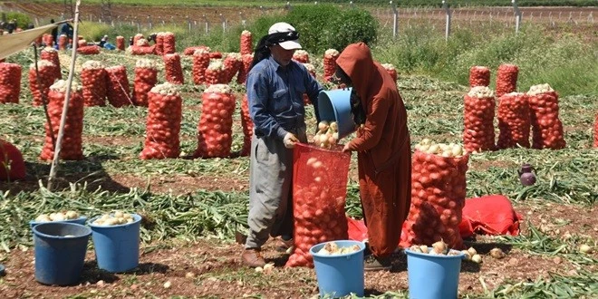 VALİ DEMİRTAŞ’TAM ÇİFTÇİ VE TARIM İŞÇİLERİNE TEŞEKKÜR