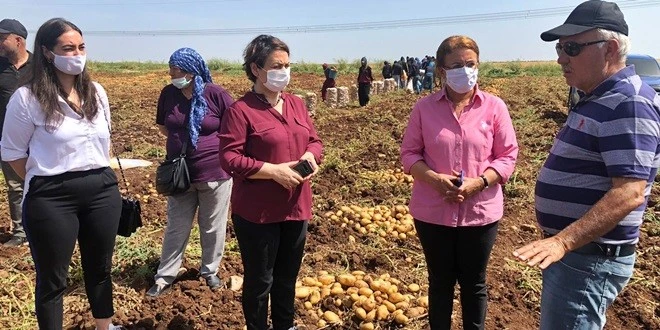CHP’Lİ VEKİLLER: YETİŞTİRİCİLER VE ÇİFTÇİLER ÇÖZÜM BEKLİYOR