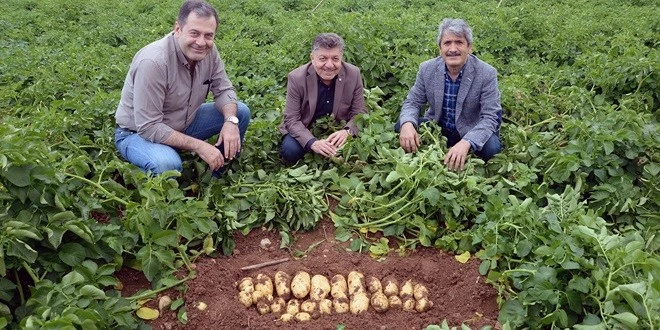 KORKUT: ASIL DARBE PATATES SOĞAN ÜRETİCİSİNE YAPILIYOR