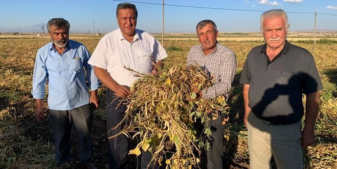 GÜRER: FASULYE ÜRETİCİSİ TMO’NUN FİYATINI BEKLİYOR