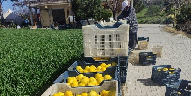 ŞOK MARKETLERDEN DEPREM BÖLGESİNDE TARIM VE ÇİFTÇİYE DESTEK