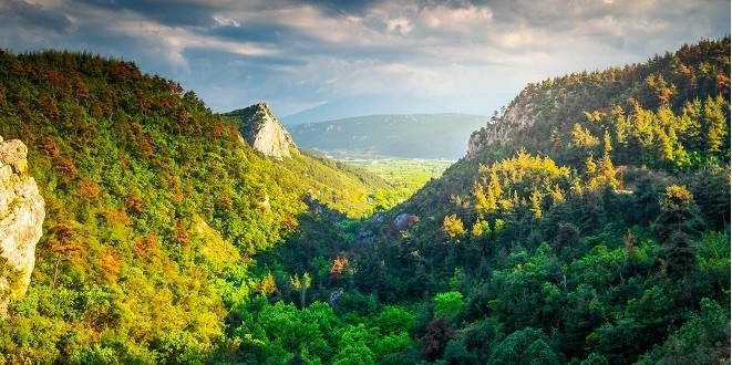 TEMA VAKFI’NDAN SEÇİMLER ÖNCESİ ÇAĞRI