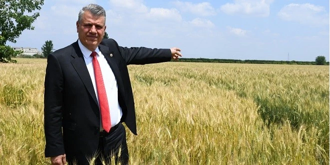 CHP’Lİ BARUT: BUĞDAY EN AZ 9.5-10 LİRA OLMALI