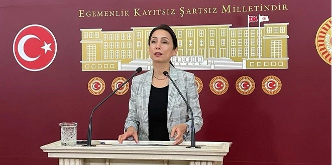 SEYHAN VE CEYHAN NEHİRLERİNDEKİ KİRLİLİĞİ SORDU