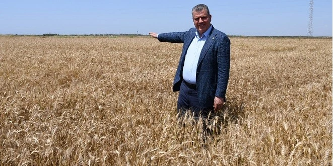CHP’Lİ BARUT: TMO