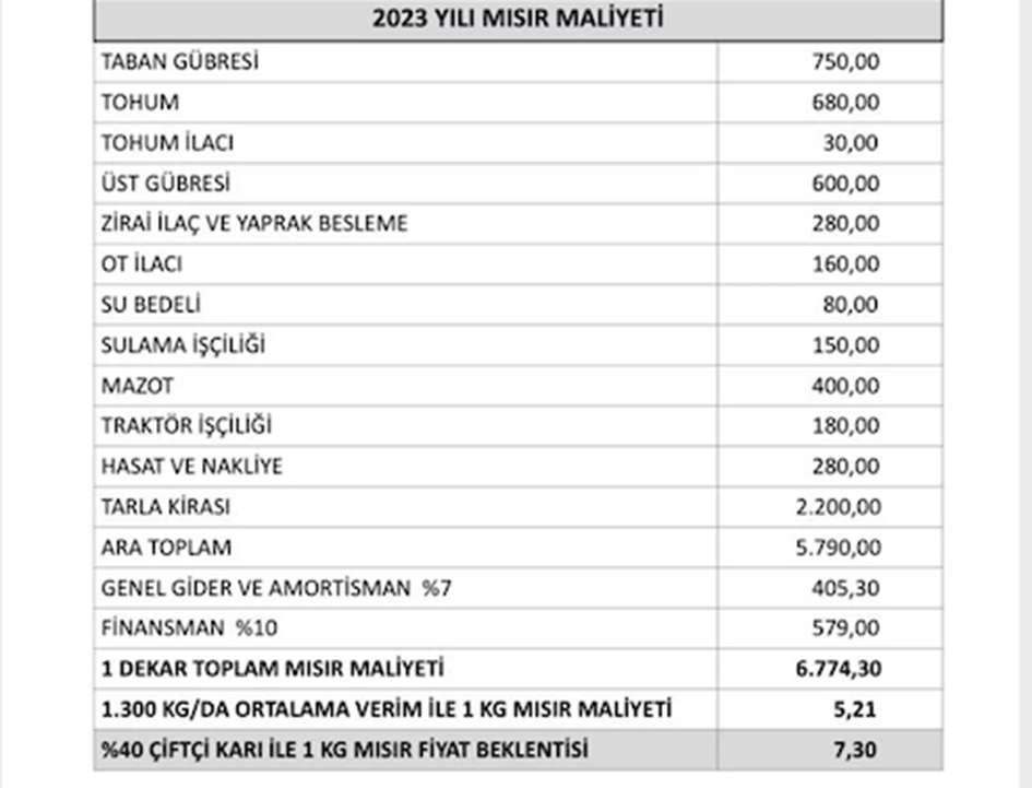 MISIR ÜRETİCİSİNİN FİYAT BEKLENTİSİ: 7.30 TL