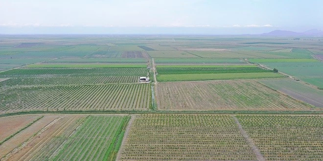 DSİ’DEN TARIM ARAZİLERİNDE DRENAJ ÇALIŞMALARI