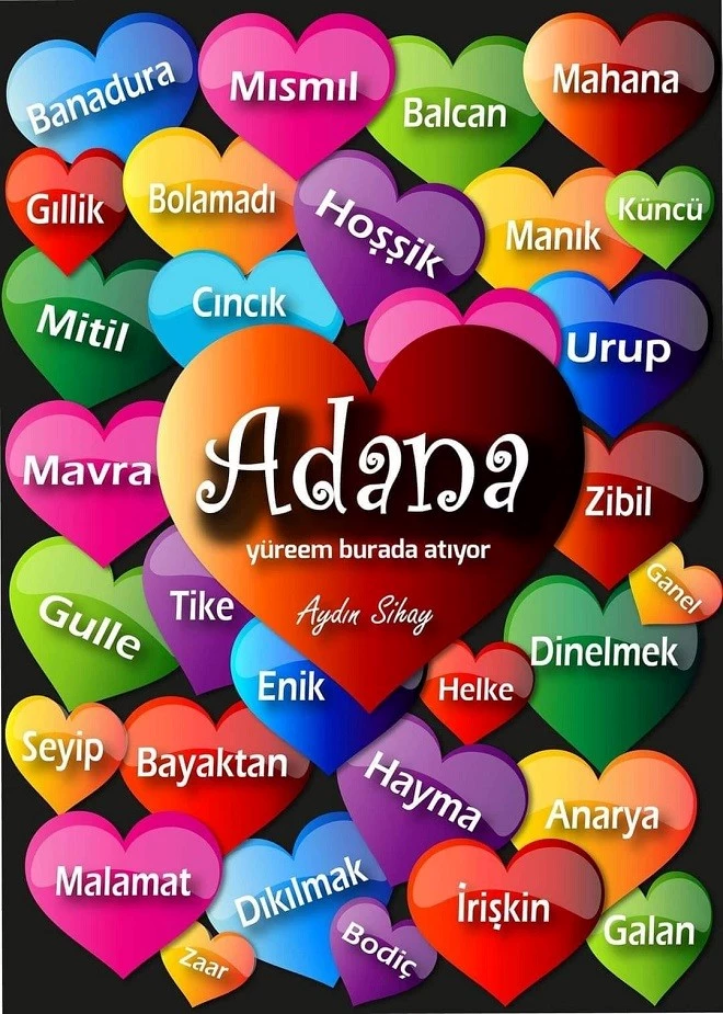 HADİ BİRAZ ADANACA ÇALIŞALIM